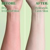 60 Pack Travel Size Aloe Vera Gel Bulk for Face,