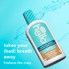 Hello Peace Out Plaque, Antigingivitis Alcohol Free Mouthwash, Natural Mint
