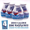 ICEE Zero Calorie Blue Raspberry Liquid Water Enhancer Drink Mix,