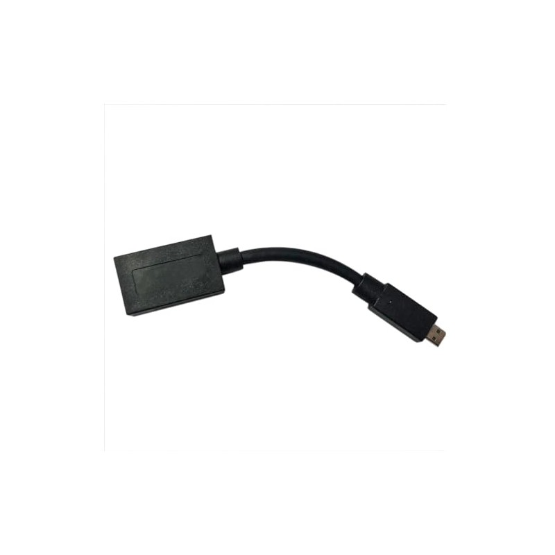 Gintai Mini HDMI Port to HDMI Adapter Cable Replacement for