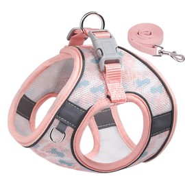 BTDCFY Step-in Dog Harness and Leash Set - Breathable Air Mesh, Reflective, Escape Proof, No Choke, Lightweight Vest (XXS, Pink-2)