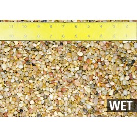 Generic 30 Lbs. Salmon Bay Pebbles for Bonsai Tree, Lucky Bamboo, Zen/Fairy Garden & Fish Tank, SALP30LBS