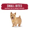 Purina Beneful Wet Dog Food Variety Pack, Incredibites & Medleys