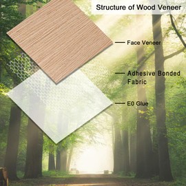 GSCIT Club 12 PCS Red Oak Wood Veneer, 12 inch x 12 inch Wood Edge Banding Pre-glued Flexible, Veneer Tape Banding for Cabinet Repair Furniture Restoration