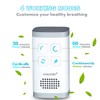 Mini Ozone & Ionic Air Purifier 2 in 1, Plug-in,