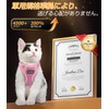 Cat Harness Leash for Cats, Dedicated Harness, Cat Towing Rope,