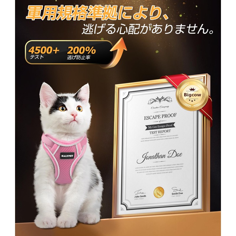 Cat Harness Leash for Cats, Dedicated Harness, Cat Towing Rope,