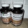 Amazing Nutrition 🔵 2 Amazing Formulas Cinnamon Bark| 1000 Mg