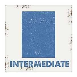 OMSigns Intermediate Ski Slope Metal Sign, Ski, Slopes, Sport, Winter, Mountain, Cabin, Lodge