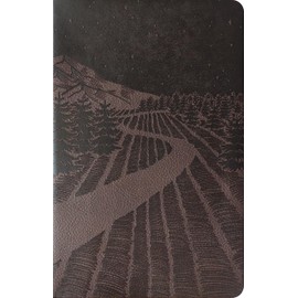 Premium Gift Bible NLT, Filament Enabled (LeatherLike, Starlight Path Brown, Red Letter)