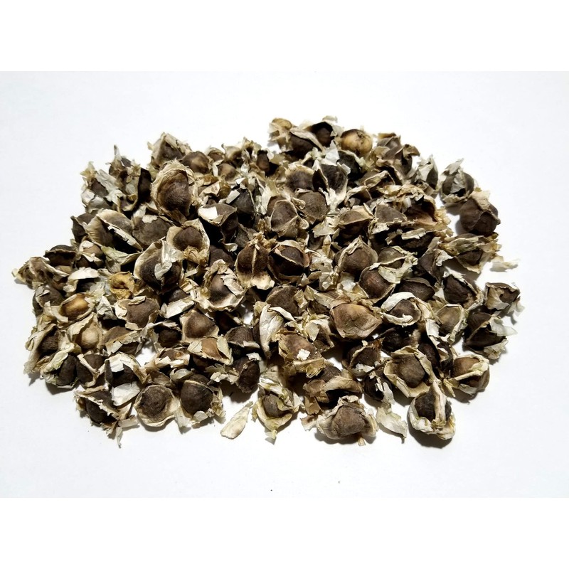 Moringa Oleifera Seeds (Semillas de Moringa) / Weights: 1 oz,