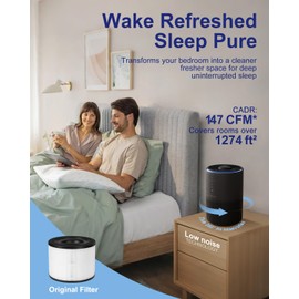 AMEGAT Air Purifiers for Home Large Room up to 1274-ft², Pet Hair Allergy, HEPA 3-in-1 air purifier, Low Power High Torque Motor, Sleep Mode, Removes Smoke, and Odor Pollutants. Airfresh-300（Black）