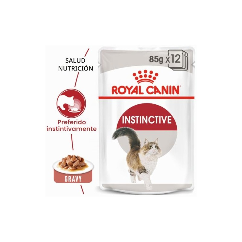 Royal Canin - Bolsa húmeda instantánea para adultos, 12 x