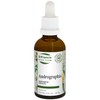 St. Francis Herb Farm Andrographis (50ml)