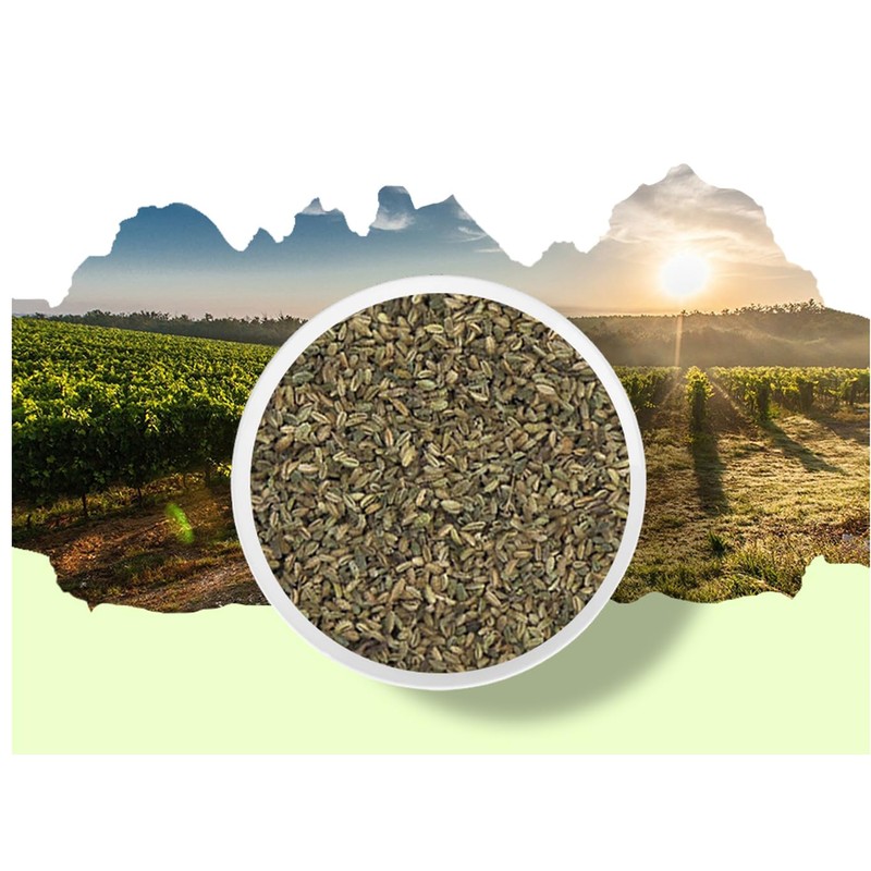 Organic Natural Pure Cnidium Seed (Cnidium Monnieri) Extract Powder-10.58 Ounce