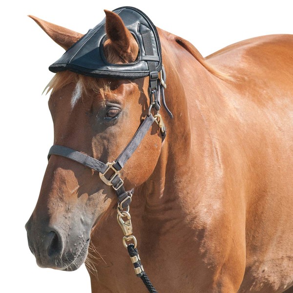 Cashel Horse Helmet Black (HH-BLA), One Size