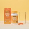 Herbaland Vitamin C Gummies / 허벌랜드 비타민C 구미 젤리