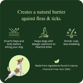 Flea and Tick Prevention for Dogs Chewable & Natural Treats - USA Made - Vet Recommended - Flea and Tick Chews with Probiotics - for All Dogs - 120 Soft Chews (Beef)
