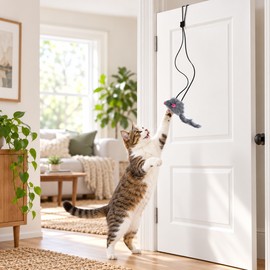 Door Hanging Cat Toy for Interactive Play – Dark Gray Hanging Teaser Toy for Kittens & Indoor Cats