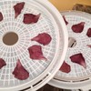 (8 Pack) Round Silicone Dehydrator Sheets, Dostk Premium Non Stick