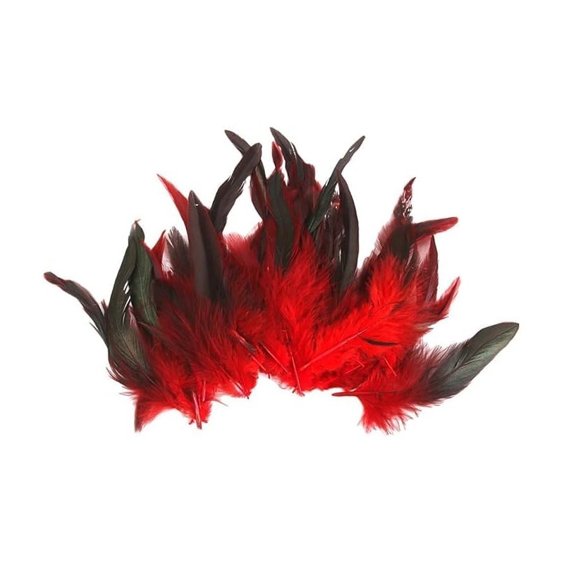 50 Red Feather Nature Feather Carnival Halloween Costume, Handicrafts, Painting