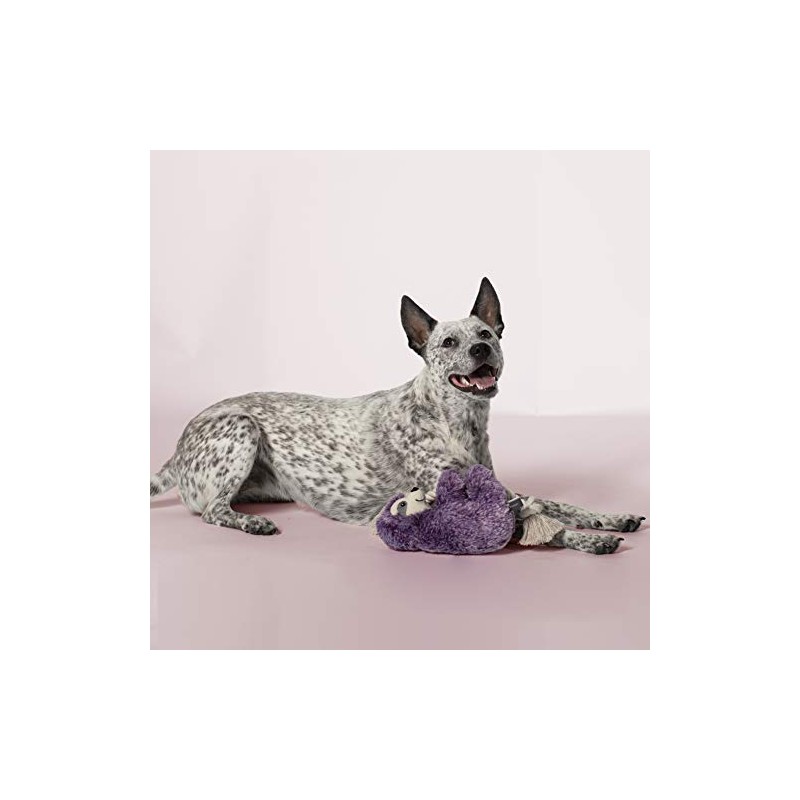 Fringe Studio Dog Toy, Violet Sloth On A Rope-Plsh Pet