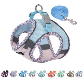 AIITLE Small Dog Harness, No-Pull Cat Harness with a Leash, Step in Adjustable Dog Harness with Quick-Release Buckle, Reflective Outdoor Pet Vest for Extra Small Dogs and House Cats Blue-Pink XXS