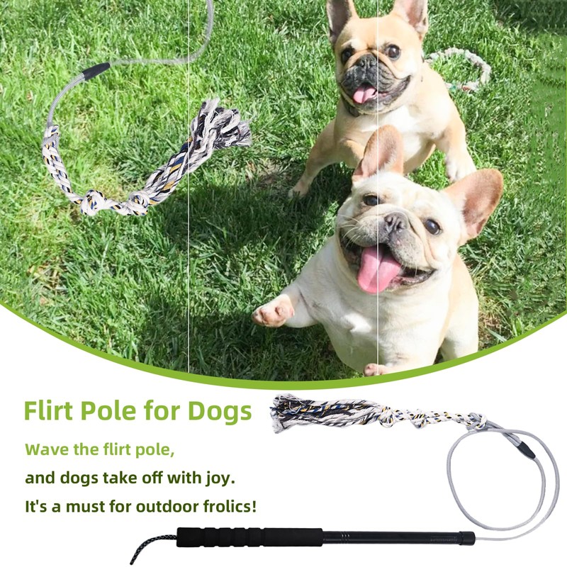 Flirt Pole for Dogs Interactive Dog Toys Durable Heavy Duty