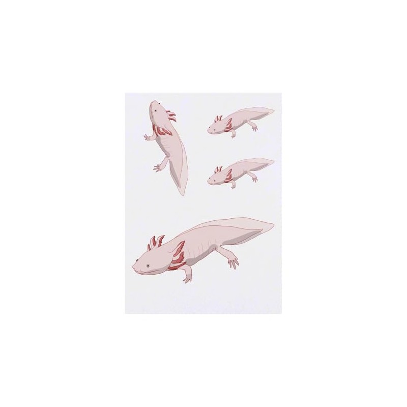 4 x 'Long Axolotl' Temporary Tattoos - Water Resistant, Skin-Safe,