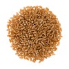 Mader Family Grown Hard Red Spring Wheat Berries: Palouse Brand,