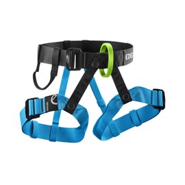 EDELRID Joker Junior III Children's Climbing Harness, Colour: Night Icemint
