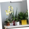 BESPORTBLE 2sets Transparent Orchid Pots with Drainage and Saucers Breathable