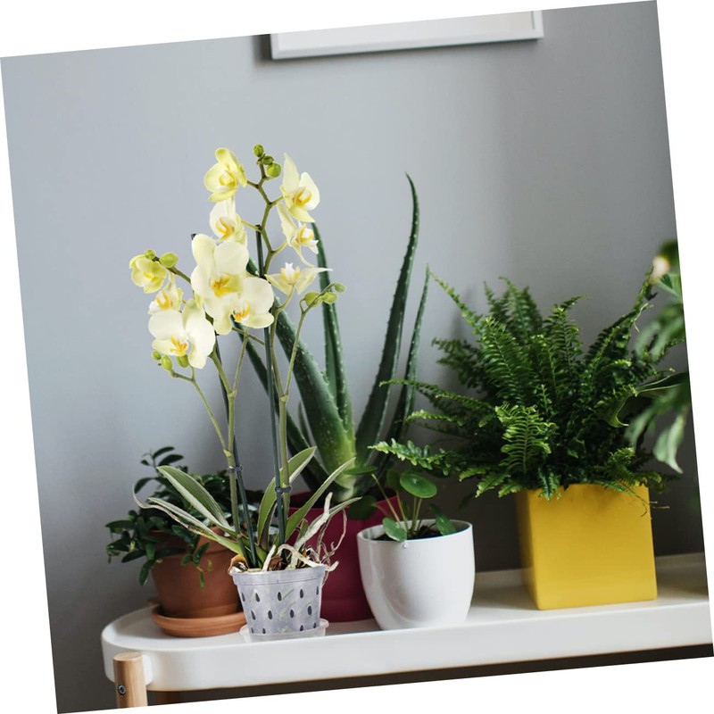 BESPORTBLE 2sets Transparent Orchid Pots with Drainage and Saucers Breathable