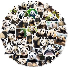 50pcs Cute Panda Stickers for Kids Water Bottle, Waterproof Vinyl Stickers for Laptop Skateboard Guitar Phone Car Decals, Panda Stickers for Kids Teens Adults Girls (Panda)