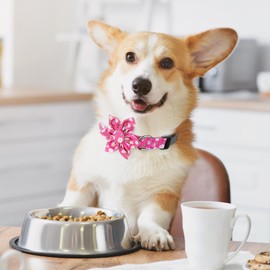 BiPawTi Medium Dog Collar Pink Flower with Bloom Decoration, Soft Floral Girly Dog Collars, Cute Daisy Pretty Dog Collar Summer Dog Collar for Girls Female Dogs (Pink, M)