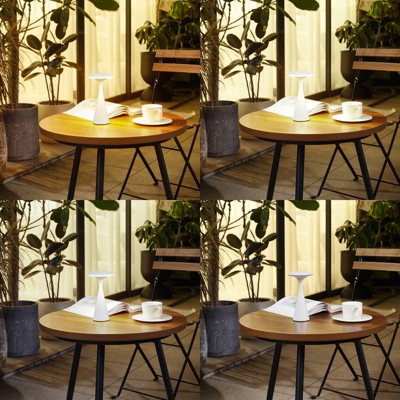 Lindby Evelen dimmable (Modern) in White (1 Light Source,) from