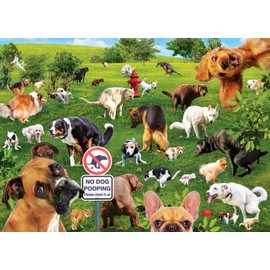 Internet Sensations - Super Dooper Pooper 1000pc Puzzle