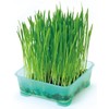 Petio Cat Energetic Grass 3 Plus 2