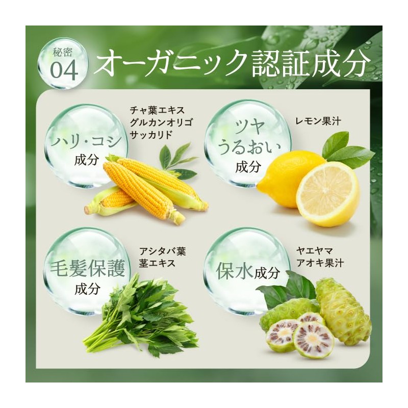 Rebena Organic Shampoo Treatment Refill Beauty Salon Exclusive Organic Shampoo