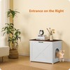 Dwanton Cat Litter Box Furniture Hidden, Cat Litter Box Enclosure,