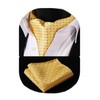 HISDERN Men's Check Polka Dot Floral Jacquard Woven Ascot Set,