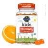 Garden Of Life Gomitas orgánicas con Vitamina D3 para niños,