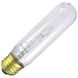 Bulbrite Incandescent T10 Medium Screw Base (E26) Light Bulb, 1 Count (Pack of 1), Clear