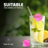 20Pcs Reusable Plastic Ice Cubes | Reusable and Fast Freezing