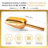 Roshtia 12 Pcs Gold Ice Scoops Stainless Steel Mini Scoop