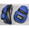 Ring to Cage Ultima Leather Punch Mitts 3 Colors (Blue)