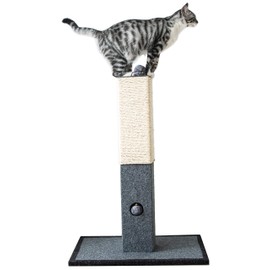 Catry Cat Scratching Post - Minimalist Style Design of Cat Tree Scratch Post with Kitten Playful Toy Allure, Good for Pets to Practice Their Claws, Multiple Size Choices