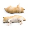 Neko Kamiyama, Shiba Inu, Lying on the Side, Miniature Figure, Figurine, Model, Interior, Collector, Model