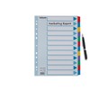Esselte Mylar plain cardboard index, coloured tabs