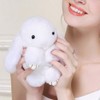 Song Qing Cute Bunny Keychain Soft Rabbit Fur Pompom Ball